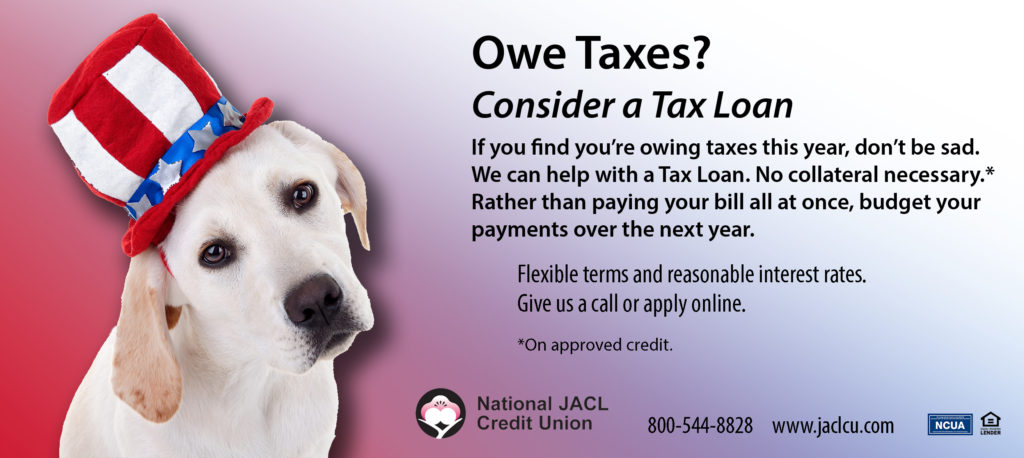 Dog wearing an uncle sam hat feeling bad about owing taxes.